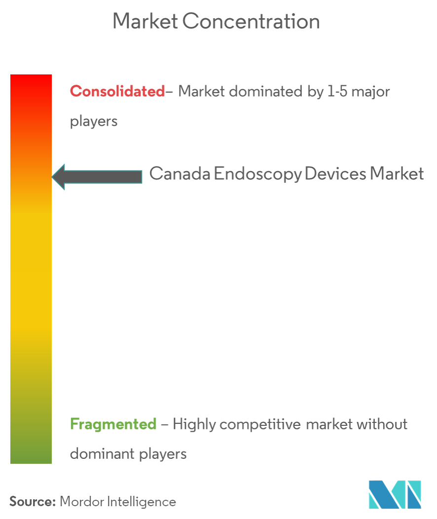 Market concentration_Canada Endoscopy device market